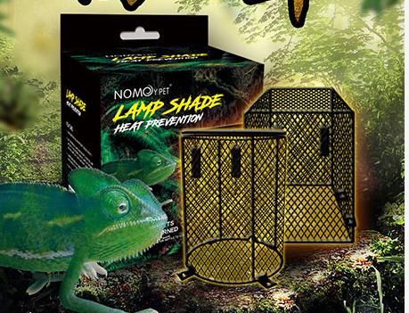 Reptile Breeding Box